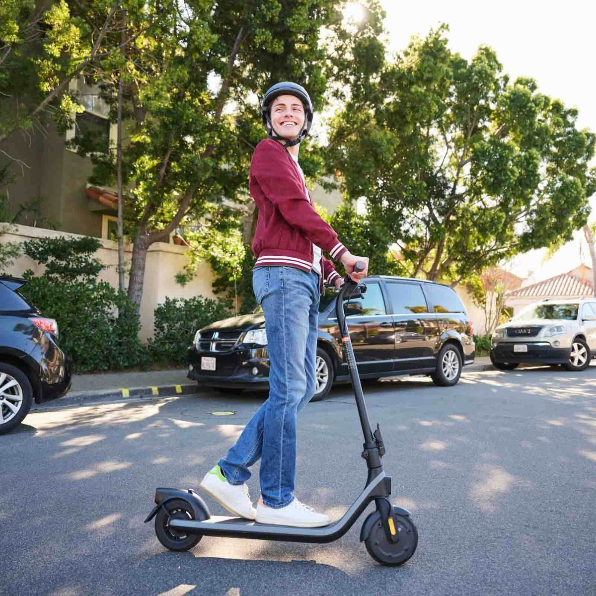 Segway Ninebot Electric Kick Scooter E2